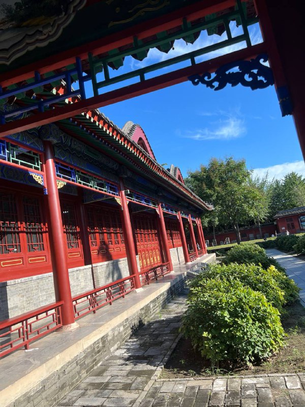 #石家庄 #隆兴寺