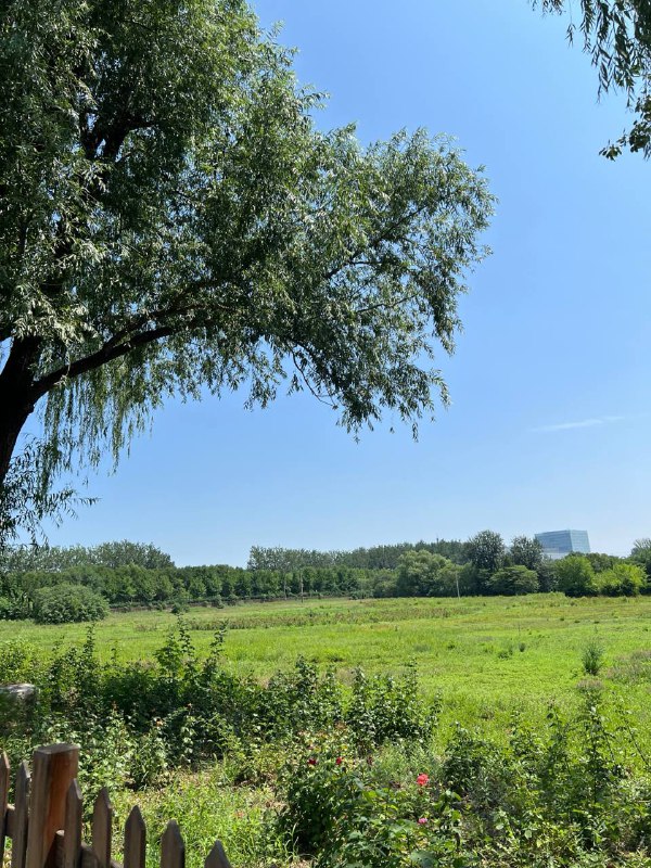 这地方，空气不错，这还是 #北京 吗？