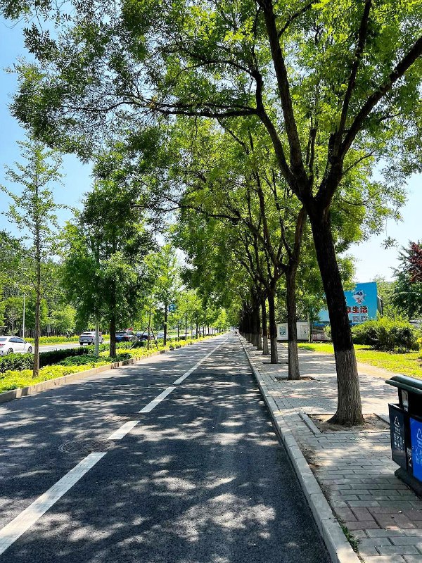 这条路让我想起当年在 #南通 的日子